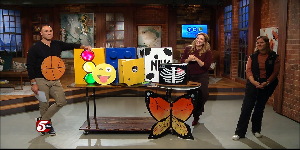 Halloween “Boxtumes” — Eden Prairie Business news