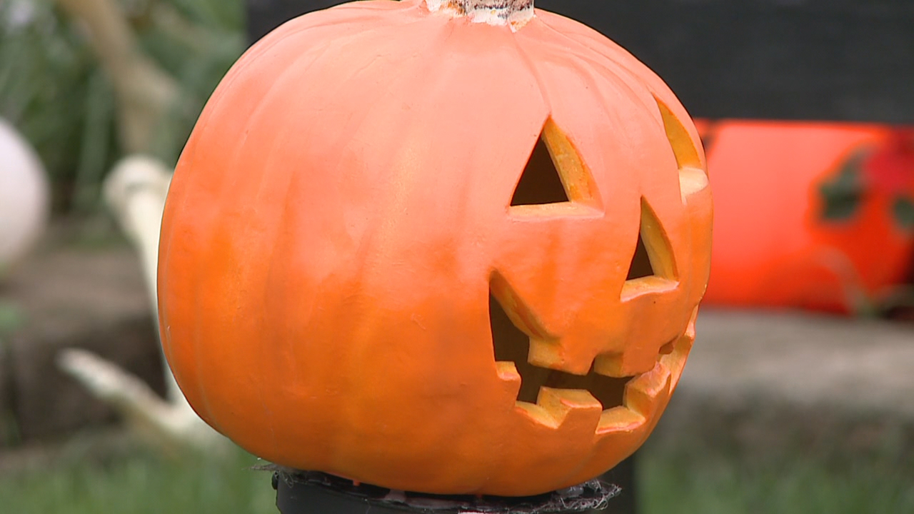 Things to do in Minnesota: 5 things to do this weekend (Oct. 30–Nov. 1) — Eden Prairie Community news